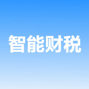 智能財稅系統(tǒng)